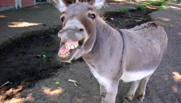 DETERMINED TO NOT KNOW IT ALL