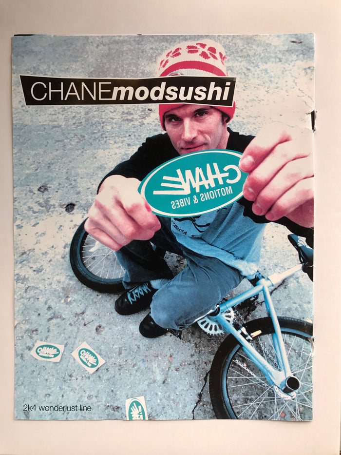 The Methodology behind Project Chane Tees