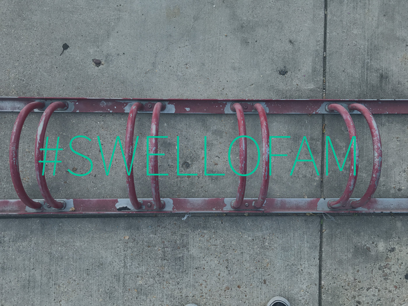 Meet #SWELLOFAM : Chris