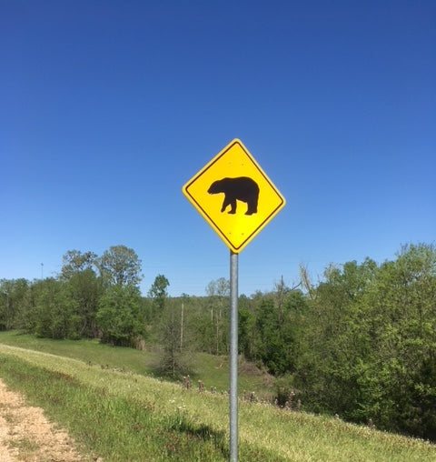 Tour #1 - BUSTED IN MISSISSIPPI