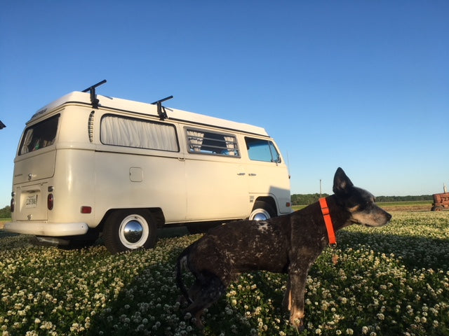 Busted in Mississippi - Tour #3