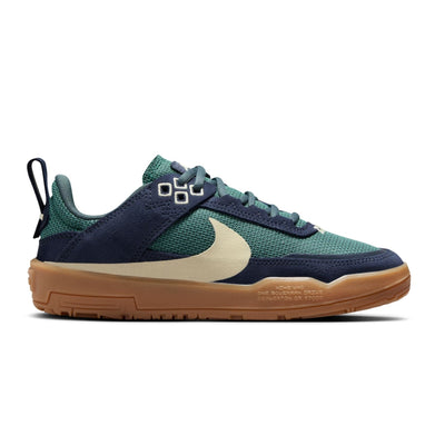 blue and green nike sb kids day one shoes with pull tab and gum sole