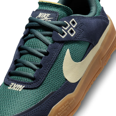 blue and green nike sb kids day one shoes with pull tab and gum sole