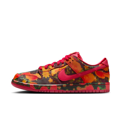 multi-colored nike sb wizard of oz dunk low pro skateboard shoe sneaker