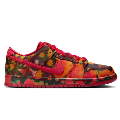 multi-colored nike sb wizard of oz dunk low pro skateboard shoe sneaker