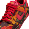 multi-colored nike sb wizard of oz dunk low pro skateboard shoe sneaker