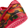 multi-colored nike sb wizard of oz dunk low pro skateboard shoe sneaker