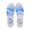 WHITE NIKE SB AND NICOLE HAUSE COLLABORATION WITH PLAID BLUE SWOOSH AND WHITE SOLE