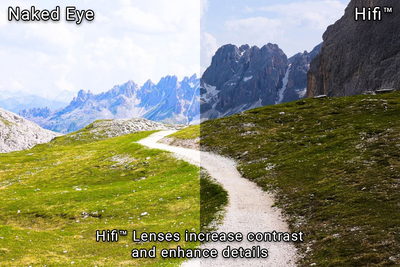 Surge XL - Matte Black - 24K Gold