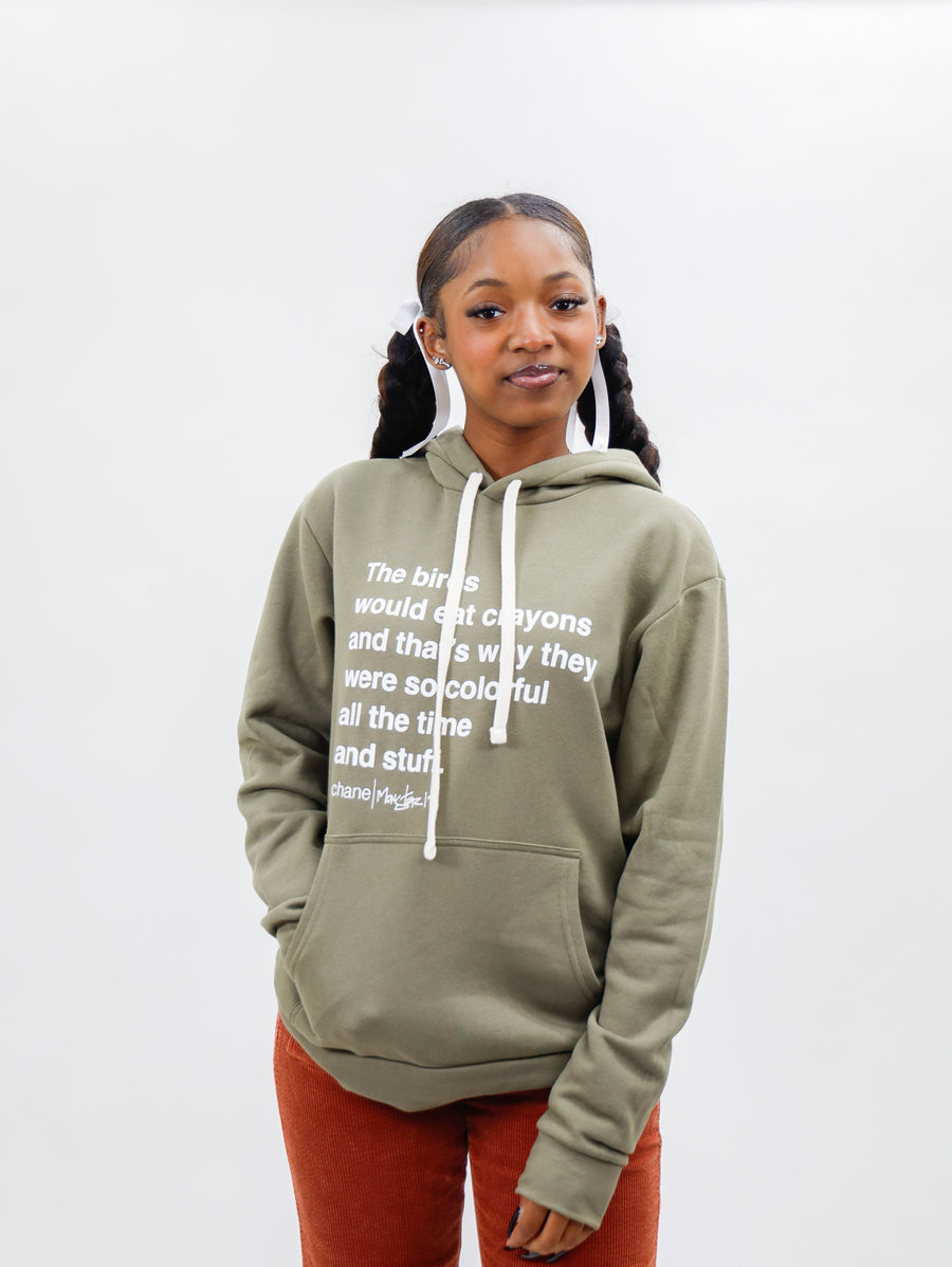 The Birds Would Eat Crayons Hoodie