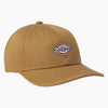 Dickies Low Pro Logo Dad Hat