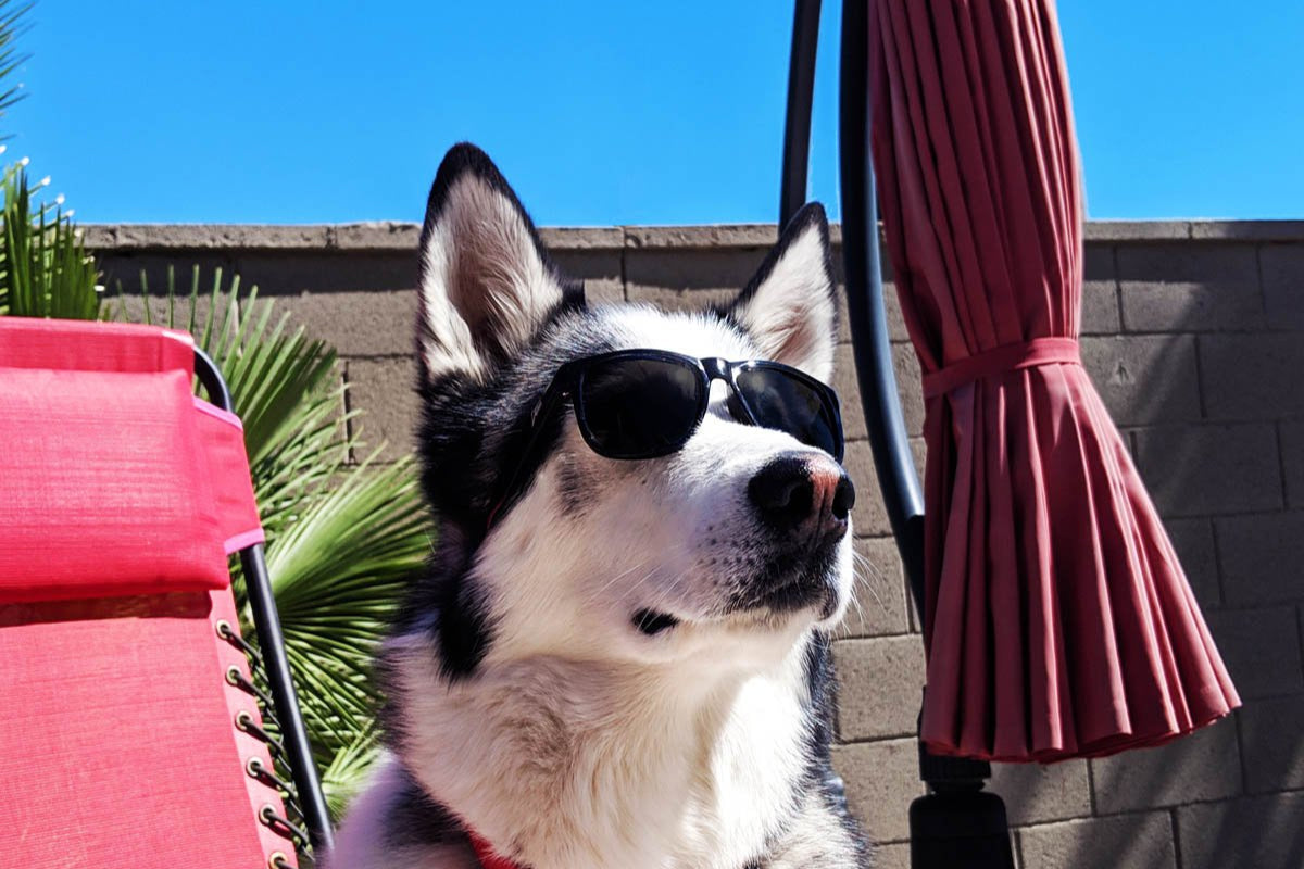 Eminence - Clean Black- Jet Black Lens Polarized