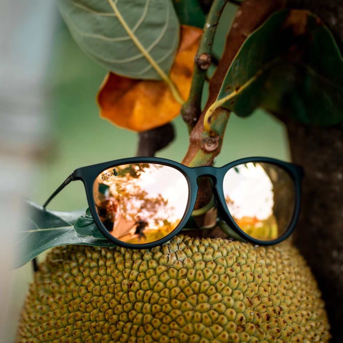 Hurricane - Matte Black - Dreamsicle Polarized