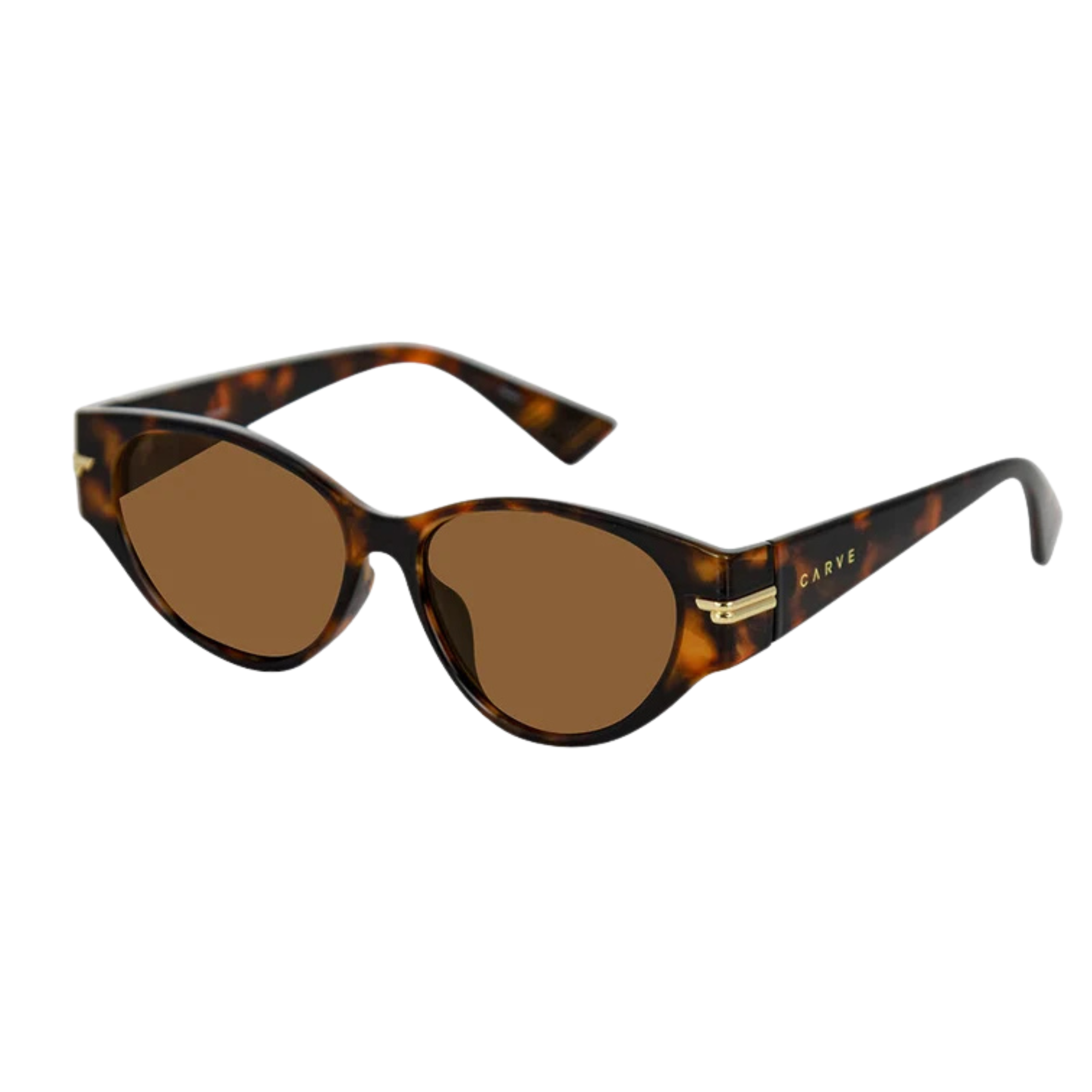 CARVE® Eyewear USA Rhode - Gloss Tort with Brown Lens