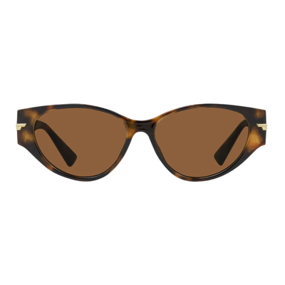 CARVE® Eyewear USA Rhode - Gloss Tort with Brown Lens
