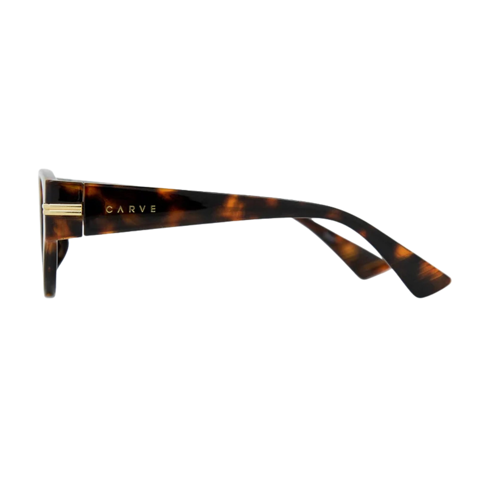 CARVE® Eyewear USA Rhode - Gloss Tort with Brown Lens
