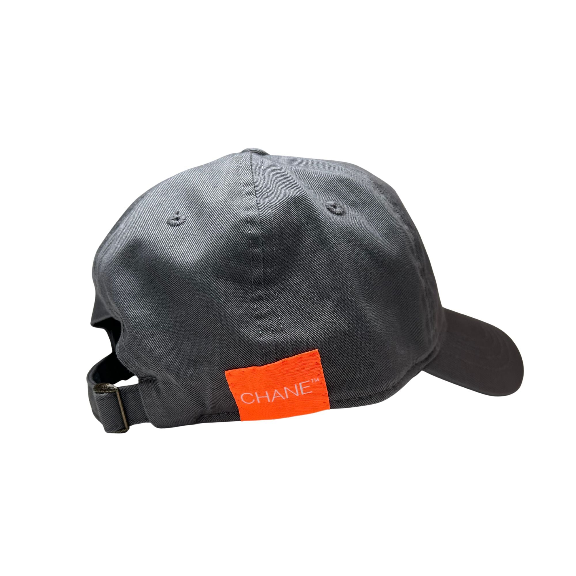 Gray king everyday hat by seven chane with a logo on a white background