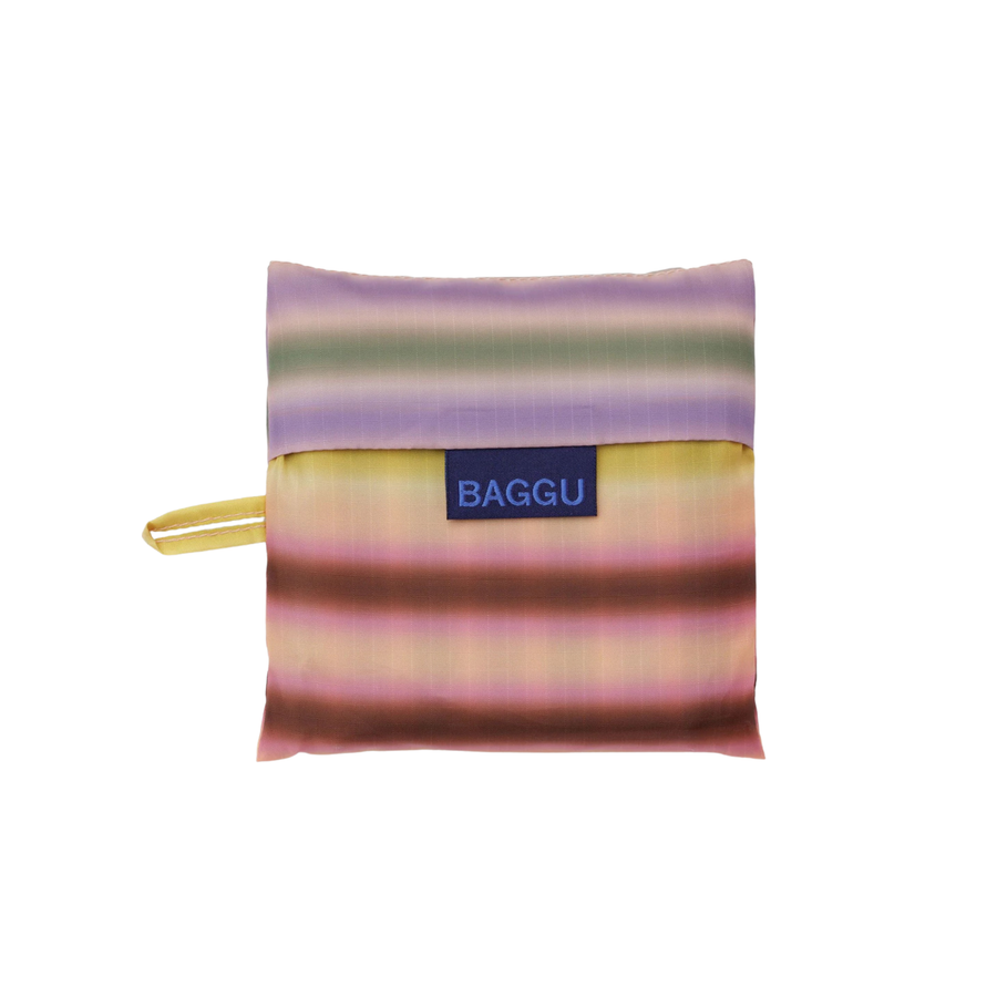 Multicolored striped standard baggu reusable bag on a white background