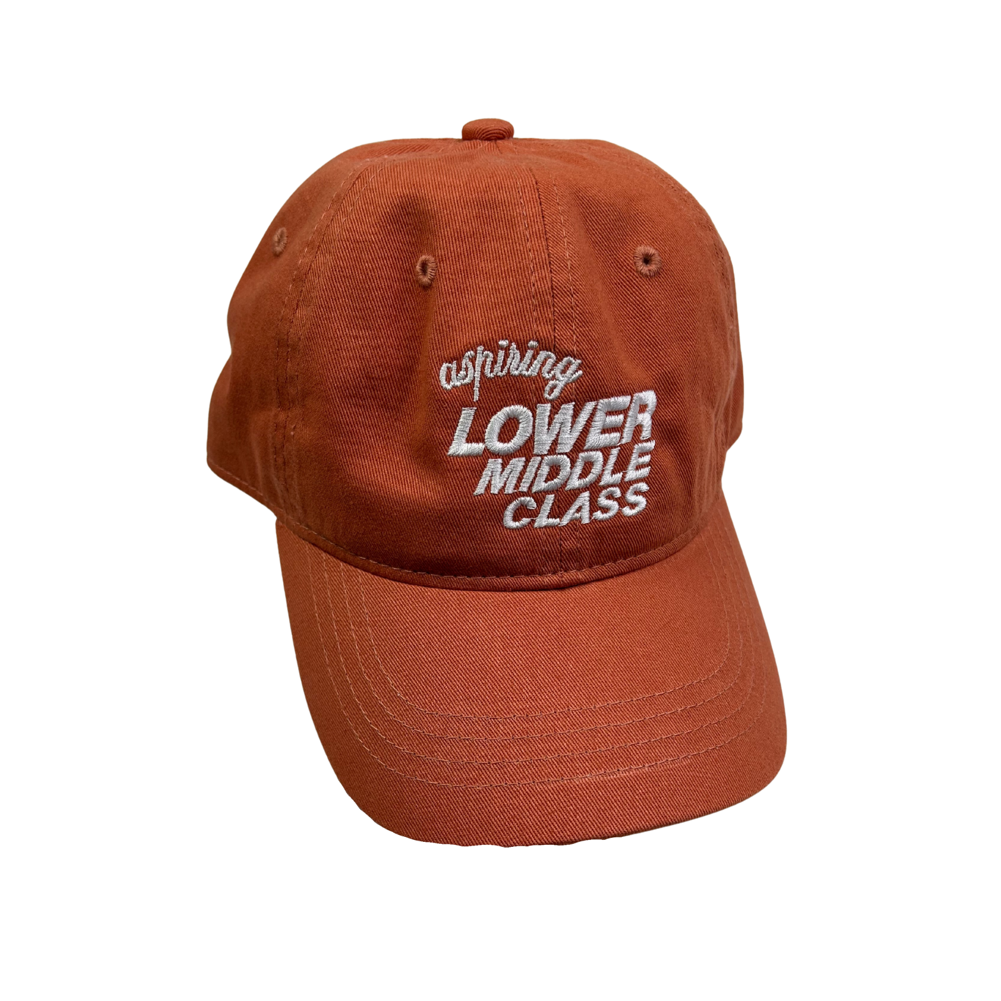 rust orange cap with white text reading aspiring lower middle class on a white background