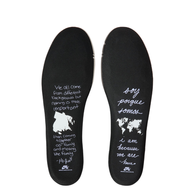 Black NIKE SB dunk low bronx girls skate sneaker with colorful accents on a white background